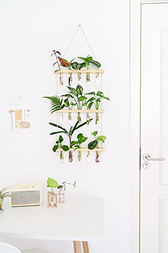 Mkono Plant Propagation Tubes, 3 Tiered Wall Hanging Plant Terrarium with Wooden Stand Mini Test Tube Flower Vase Glass Planter for Hydroponic Plant Cutting Home Garden Office Decor Plant Lover Gift