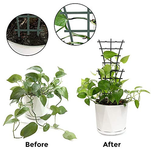 GREENWISH 4pcs 9x3inch Mini Plant Trellis Plastic Garden Plant Support DIY Climbing Trellis Flower Supports Dark Green