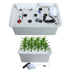 xeternity-made indoor hydroponic grow kit with bubble stone, 11 sites (holes) bucket, air pump, sponges – best indoor herb garden
