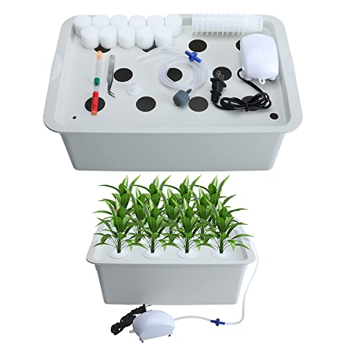 Xeternity-Made Indoor Hydroponic Grow Kit with Bubble Stone, 11 Sites (Holes) Bucket, Air Pump, Sponges - Best Indoor Herb Garden