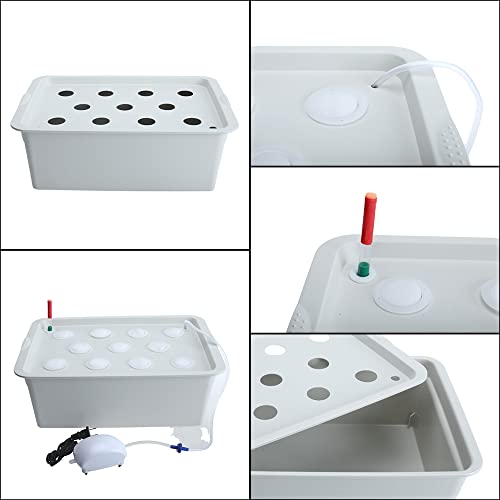 Xeternity-Made Indoor Hydroponic Grow Kit with Bubble Stone, 11 Sites (Holes) Bucket, Air Pump, Sponges - Best Indoor Herb Garden