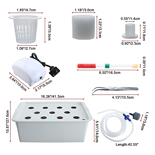 Xeternity-Made Indoor Hydroponic Grow Kit with Bubble Stone, 11 Sites (Holes) Bucket, Air Pump, Sponges - Best Indoor Herb Garden