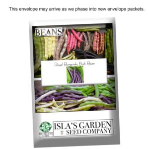 Royal Burgundy Bush Bean Seeds for Planting, 30 Heirloom Seeds Per Packet, (Isla's Garden Seeds), Non GMO Seeds, Botanical Name: Phaseolus vulgaris, Great Home Garden Gift