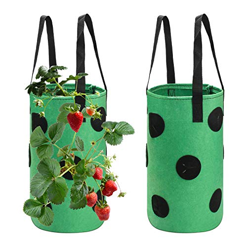 Luxiv Strawberry Grow Bags 3 Gallon, Strawberry Planting Bags with 12 Grow Pouches Plant Growing Hanger Bag for Tomato, Chili, Strawberry Planting Containers Garden Grow Bags (2, Green)