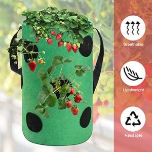 Luxiv Strawberry Grow Bags 3 Gallon, Strawberry Planting Bags with 12 Grow Pouches Plant Growing Hanger Bag for Tomato, Chili, Strawberry Planting Containers Garden Grow Bags (2, Green)