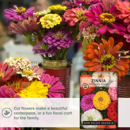 Sow Right Seeds California Giant Zinnia Seeds - Full Instructions for Planting, Beautiful to Plant in Your Flower Garden; Non-GMO Heirloom Seeds; Wonderful Gardening Gifts (4)