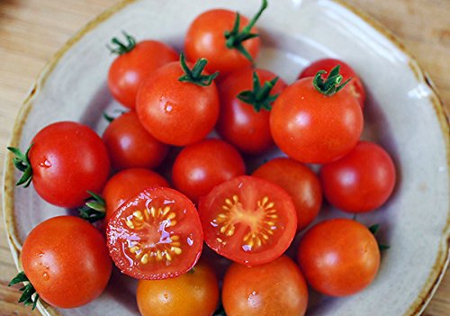 30+ Dwarf Red Robin Tomato Seeds, Heirloom Non-GMO, Sweet, Low Acid, Determinate, Open-Pollinated, Delicious, Lycopersicon lycopersicum, from USA