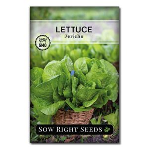 Sow Right Seeds - Jericho Lettuce Seeds for Planting - Non-GMO Heirloom Packet with Instructions to Plant a Home Vegetable Garden; Indoors or Outdoor; Heat Tolerant Romaine Lettuce; Gardening Gift