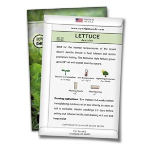 Sow Right Seeds - Jericho Lettuce Seeds for Planting - Non-GMO Heirloom Packet with Instructions to Plant a Home Vegetable Garden; Indoors or Outdoor; Heat Tolerant Romaine Lettuce; Gardening Gift