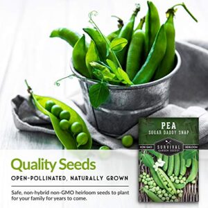 Survival Garden Seeds - Sugar Daddy Snap Pea Seed for Planting - Packet with Instructions to Plant and Grow in Delicious Pea Pods Your Home Vegetable Garden - Non-GMO Heirloom Variety