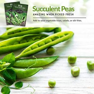 Survival Garden Seeds - Sugar Daddy Snap Pea Seed for Planting - Packet with Instructions to Plant and Grow in Delicious Pea Pods Your Home Vegetable Garden - Non-GMO Heirloom Variety