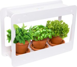 indoor herb vegetable plant garden kit, led grow light timer & remote, planter grower kitchen- stocking stuffer unique gift holiday christmas