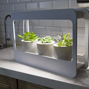 Indoor Herb Vegetable Plant Garden Kit, LED Grow Light Timer & Remote, Planter Grower Kitchen- Stocking Stuffer Unique Gift Holiday Christmas