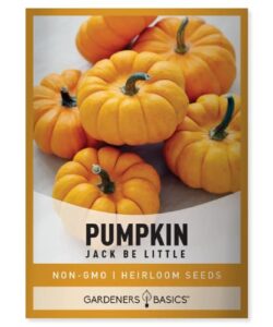 mini pumpkin seeds for planting (jack be little) small heirloom, non-gmo vegetable variety-5 grams seeds great for summer pumpkin gardens by gardeners basics