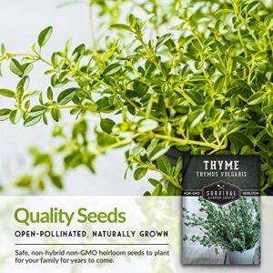 Survival Garden Seeds - Thyme Seed for Planting - Packet with Instructions to Plant and Grow Thymus Vulgaris Herb Plants in Your Home Vegetable Garden - Non-GMO Heirloom Variety