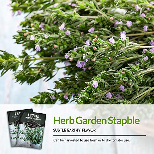 Survival Garden Seeds - Thyme Seed for Planting - Packet with Instructions to Plant and Grow Thymus Vulgaris Herb Plants in Your Home Vegetable Garden - Non-GMO Heirloom Variety