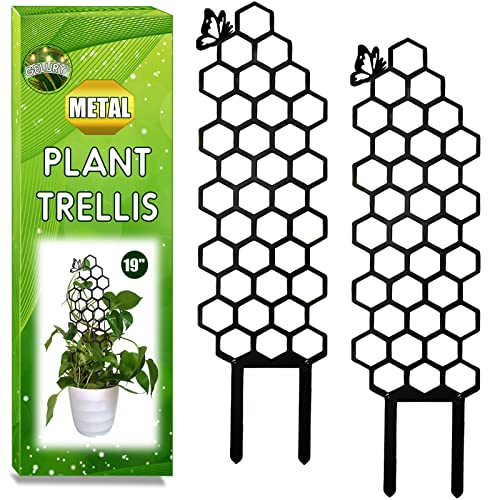 2 Pack Metal Trellis for Houseplants, 19 Inch Garden Plant Trellis for Indoor Climbing Plants, Honeycomb Shape Trellis for Ivy Pothos Vines Hoya Flower