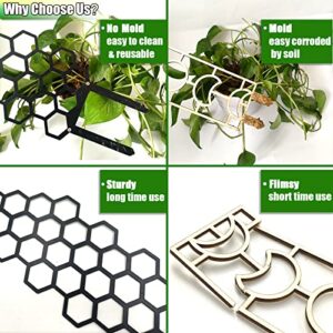 2 Pack Metal Trellis for Houseplants, 19 Inch Garden Plant Trellis for Indoor Climbing Plants, Honeycomb Shape Trellis for Ivy Pothos Vines Hoya Flower