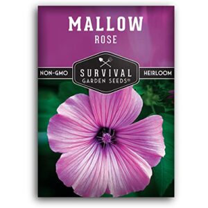 survival garden seeds – rose mallow seed for planting – packet with instructions to plant and grow bright pink native wildflower in your home vegetable garden – non-gmo heirloom variety