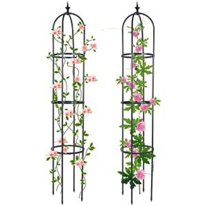 trellis for climbing plants outdoor, deaunbr garden plant support tall tower obelisk vine cages plastic coated rustproof metal pipe supports for outdoor indoor, potted plants, tomato, rose – 2 pack