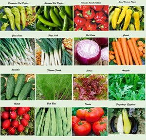 set of 16 assorted organic vegetable seeds & herb seeds for planting 16 varieties create a deluxe garden heirloom, 100% non-gmo sweet pepper seeds, hot pepper seeds-red onion seeds- green onion seeds
