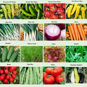 Set of 16 Assorted Organic Vegetable Seeds & Herb Seeds for Planting 16 Varieties Create a Deluxe Garden Heirloom, 100% Non-GMO Sweet Pepper Seeds, Hot Pepper Seeds-Red Onion Seeds- Green Onion Seeds