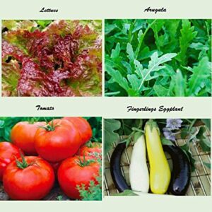 Set of 16 Assorted Organic Vegetable Seeds & Herb Seeds for Planting 16 Varieties Create a Deluxe Garden Heirloom, 100% Non-GMO Sweet Pepper Seeds, Hot Pepper Seeds-Red Onion Seeds- Green Onion Seeds