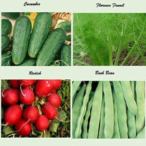 Set of 16 Assorted Organic Vegetable Seeds & Herb Seeds for Planting 16 Varieties Create a Deluxe Garden Heirloom, 100% Non-GMO Sweet Pepper Seeds, Hot Pepper Seeds-Red Onion Seeds- Green Onion Seeds