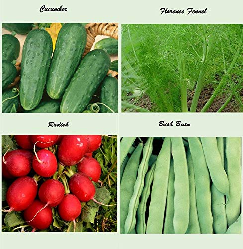 Set of 16 Assorted Organic Vegetable Seeds & Herb Seeds for Planting 16 Varieties Create a Deluxe Garden Heirloom, 100% Non-GMO Sweet Pepper Seeds, Hot Pepper Seeds-Red Onion Seeds- Green Onion Seeds