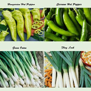 Set of 16 Assorted Organic Vegetable Seeds & Herb Seeds for Planting 16 Varieties Create a Deluxe Garden Heirloom, 100% Non-GMO Sweet Pepper Seeds, Hot Pepper Seeds-Red Onion Seeds- Green Onion Seeds