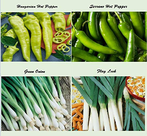 Set of 16 Assorted Organic Vegetable Seeds & Herb Seeds for Planting 16 Varieties Create a Deluxe Garden Heirloom, 100% Non-GMO Sweet Pepper Seeds, Hot Pepper Seeds-Red Onion Seeds- Green Onion Seeds