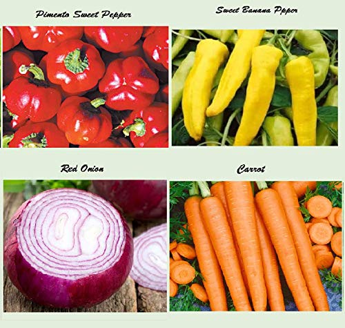 Set of 16 Assorted Organic Vegetable Seeds & Herb Seeds for Planting 16 Varieties Create a Deluxe Garden Heirloom, 100% Non-GMO Sweet Pepper Seeds, Hot Pepper Seeds-Red Onion Seeds- Green Onion Seeds