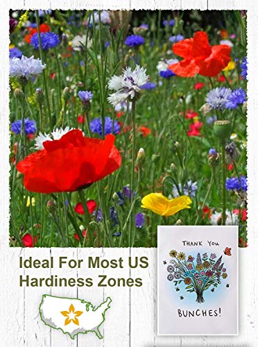 American Meadows Wildflower Seed Packets "Thank You Bunches" Party Favors (Pack of 20) - Express Gratitude with a Wildflower Seed Mix, Great Addition or Alternative to Thank You Cards