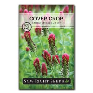 sow right seeds – crimson clover seed for planting – cover crops to plant in your home garden – nitrogen fixer – clover seeds ground cover – non-gmo heirloom seeds – gardening gift