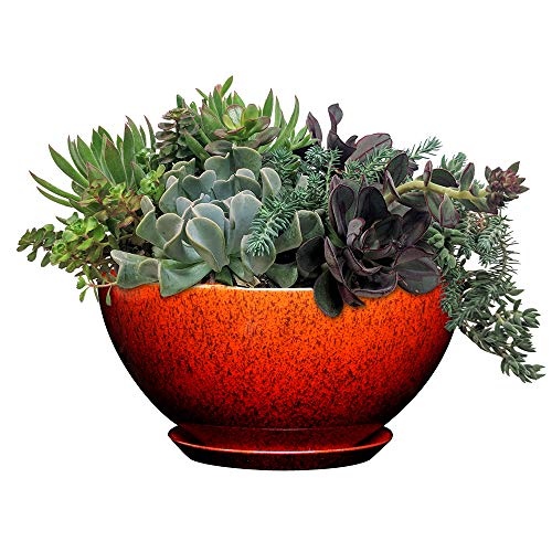 Classic Home and Garden 9010D-376R 10" Rosie Bowl Planter, Lava Red