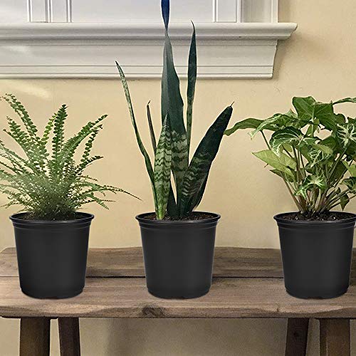 GROWNEER 48 Packs 0.7 Gallon Flexible Nursery Pot Flower Pots with 15 Pcs Plant Labels, Plastic Plant Container Perfect for Indoor Outdoor Plants, Seedlings, Vegetables, Succulents and Cuttings 2.5Qt