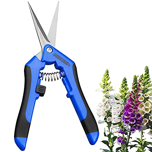 FIXSMITH 6.5" Pruning Shears | 1 Pack | Garden Shears | Straight Stainless Steel Blades Gardening Tools | Gardening Hand Pruner | Precision Garden Tools | Blue Color.