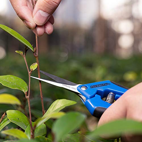 FIXSMITH 6.5" Pruning Shears | 1 Pack | Garden Shears | Straight Stainless Steel Blades Gardening Tools | Gardening Hand Pruner | Precision Garden Tools | Blue Color.