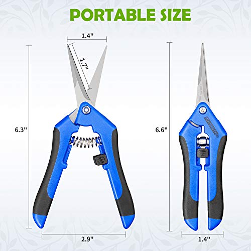 FIXSMITH 6.5" Pruning Shears | 1 Pack | Garden Shears | Straight Stainless Steel Blades Gardening Tools | Gardening Hand Pruner | Precision Garden Tools | Blue Color.