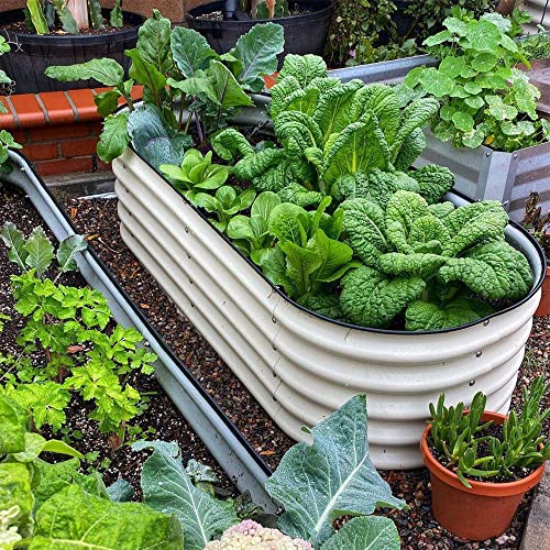 Vego garden Raised Garden Bed Kit, 17" Tall 4 in 1 Modular Metal Raised Garden Beds Kit, Metal Planter Box for Vegetables, Flowers, Herbs, Pearl White