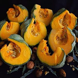 TomorrowSeeds - Jarrahdale Blue Pumpkin Seeds - 20+ Count Packet USA Garden Vegetable Winter Squash Kabocha Gray Cinderella Gourd Fall Seed