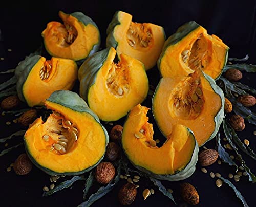 TomorrowSeeds - Jarrahdale Blue Pumpkin Seeds - 20+ Count Packet USA Garden Vegetable Winter Squash Kabocha Gray Cinderella Gourd Fall Seed