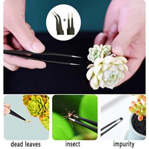 30 Pcs Succulent Tools Set, Mini Transplanting Garden Tools Kit Bonsai Tools Set for Indoor Gardening Flower Pot Cactus Care