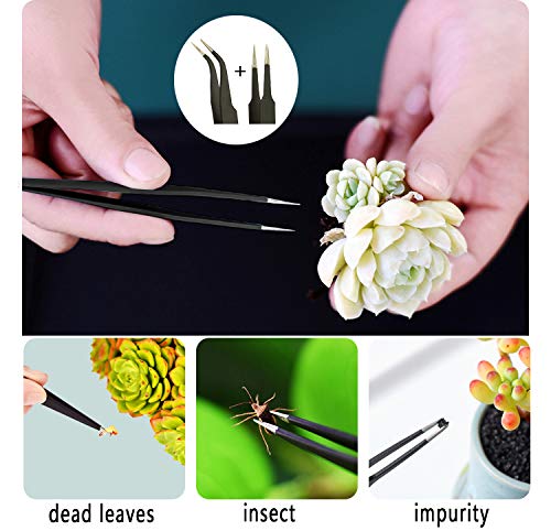 30 Pcs Succulent Tools Set, Mini Transplanting Garden Tools Kit Bonsai Tools Set for Indoor Gardening Flower Pot Cactus Care