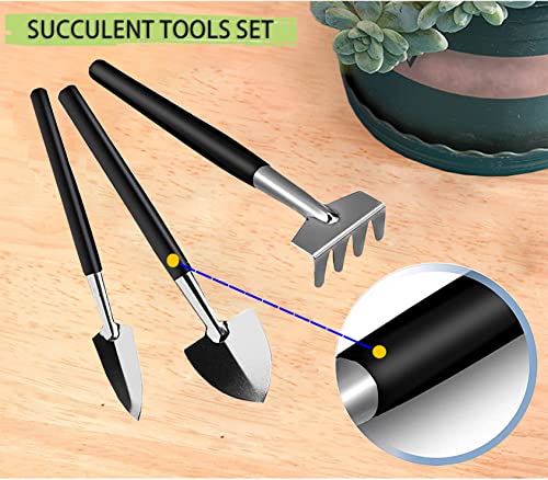 30 Pcs Succulent Tools Set, Mini Transplanting Garden Tools Kit Bonsai Tools Set for Indoor Gardening Flower Pot Cactus Care
