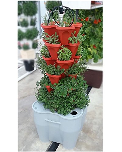 Large 64 Quart Stackable Planter 5-Pack - Grow More in Less Space - Plant Pots and Stack - DIY Vertical Gardening System - for Growing Veggies, Herbs, Garden Greens, Starwberries (Terracotta)