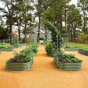 Vego Garden Modular Arched Trellis System Triple Section 6.0' Long Trellis for 2.0' x 8.0' (9 in 1) Garden Bed