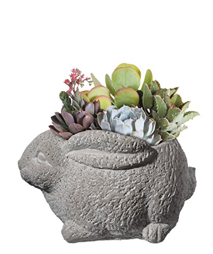 Classic Home and Garden 9/3442/1 Rabbit Planter, Large, Natural