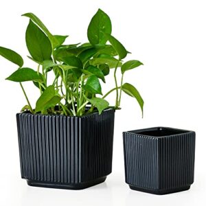Ton Sin Black Flower Pots,5"&3.7" Inch Matte Square Plant Pots for Indoor Plants Set of 2,Medium Plant Pots with Drainage Holes,Succulents Pots Garden Pot (2 Pack)
