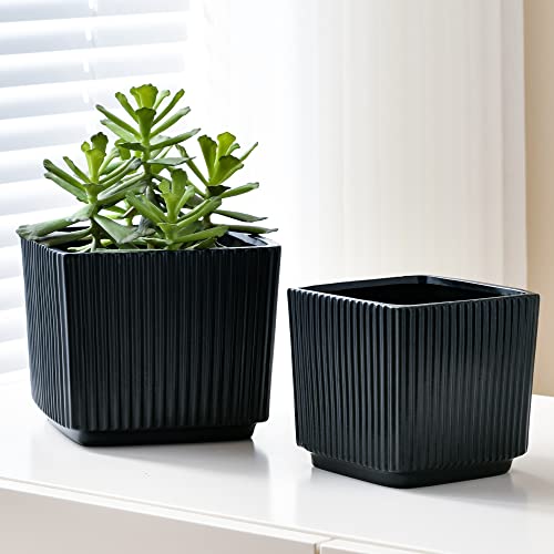 Ton Sin Black Flower Pots,5"&3.7" Inch Matte Square Plant Pots for Indoor Plants Set of 2,Medium Plant Pots with Drainage Holes,Succulents Pots Garden Pot (2 Pack)